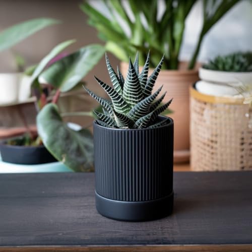 HERDUK Small Plant Pots, 4 Inch Pots for Indoor Plants, Modern Minimalist Ceramic Plant Pots with Drainage Hole & Saucer, Matte Black Set of 2 - Image 5