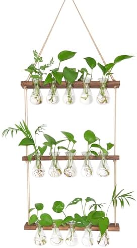 XXXFLOWER Wall Hanging Propagation Station 5 Bulb Vase 3 Tiers Brown by XXXFLOWER