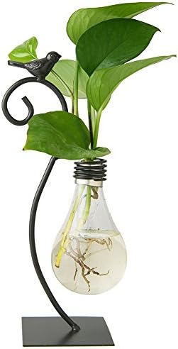 Marbrasse Desktop Glass Planter Hydroponics Vase,Planter Bulb Vase with Holder for Home Decoration,Modern Creative Bird Plant Terrarium Stand, Scindapsus Container (Bulb Vase) by Marbrasse