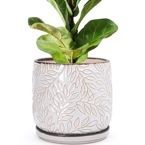 D'vine Dev Embossed Leaves Ceramic Planter, 8 in, Smoked White, 27-A-Q-1 by DvineDevPlanterPotsandStand