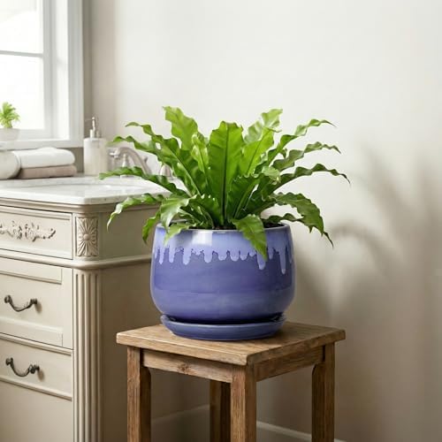 Ceramic Planter for Plants- 9 Inch Plant Pots Indoor with Drainage and Saucer, Decorative Planters, Durable Round Indoor Flower Pot, Garden Room Decor, Plant Gifts for Women Men, Blue - Image 6