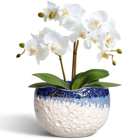 Ceramic Plant Pots, 6 Inch Orchid Pot with Drainage, Beige-Blue by Thirtypot