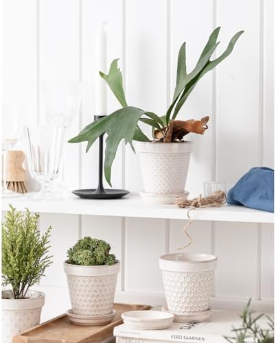 Ceramic Succulent Pots with Drainage Hole & Saucer, 4 Inch Small Plant Pots, Ceramic Planter for Indoor Plants, Embossed Flower Pots, Home Decor, Set of 4, Off-White - Image 4