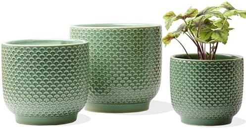 4 + 5 + 6 Inch Ceramic Pots for Indoor Plants, Succulents Plant Pots, Orchid Flower Pot with Drainage Hole, Modern Clay Stoneware Planters, Set of 3 (Green, 4+5+6 Inch) by Homephyte