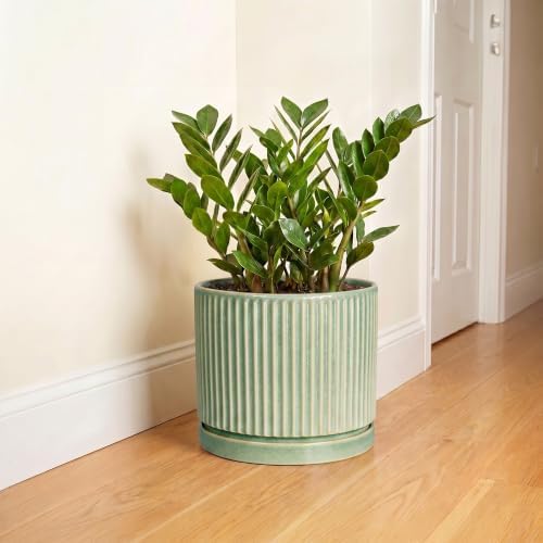 Ceramic Flower Pots, 10 Inch Plant Pot, Round Planter, Green - Image 6