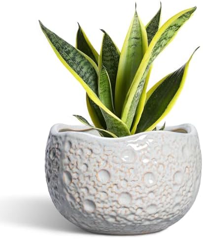 Ceramic Pots for Plants, 8 Inch Planters for Indoor Plants, Grey by Thirtypot