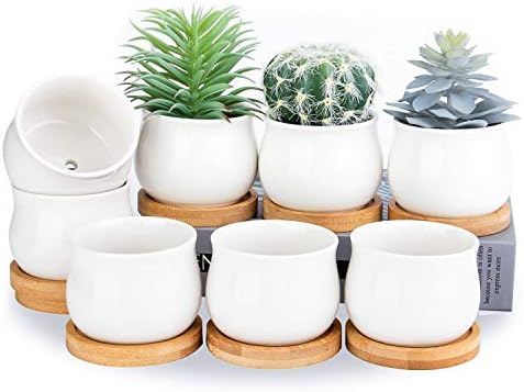SHECIPIN Succulent Plant Pot, White Mini 2.6 inch Ceramic Flower Planter Pot with Bamboo Tray, Pack of 8 - Plants Not Included by SHECIPIN