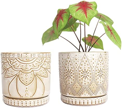 6 Inch Indoor Plant Pots with Drainage Holes and Saucers, Ceramic Planter for Plants, Flower Pot - Set of 2 by YFFSRJDJ