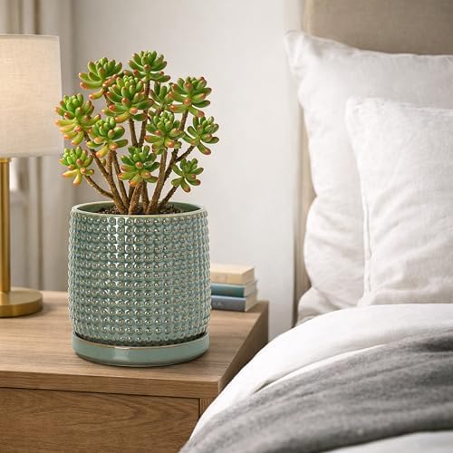D'vine Dev Beaded Ceramic Pot with Saucer, 6 in, Olive, 27-C-X-0 - Image 6