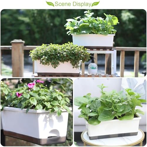 Oliz Window Box Planter 8 Pcs, 17 Inches Rectangle Flower Pots with Drainage Holes & Trays, Vegetable Planters for Windowsill Patio Garden Balcony Home Indoor Outdoor (White, 16 * 7 * 6 inch) - Image 5
