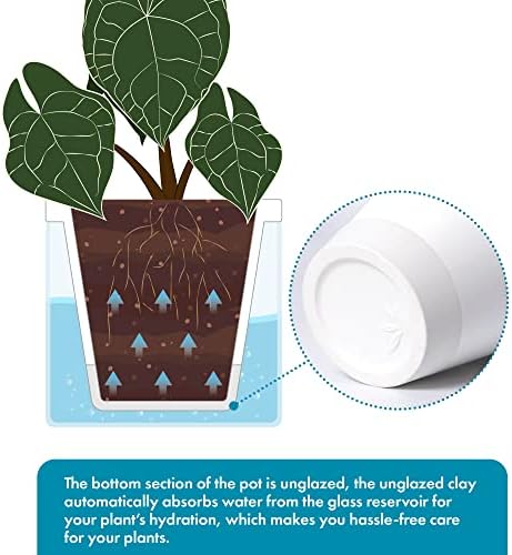 D'vine Dev Self-Watering White Terracotta Planter Pot, 8 in, 37-X-C-2 - Image 4