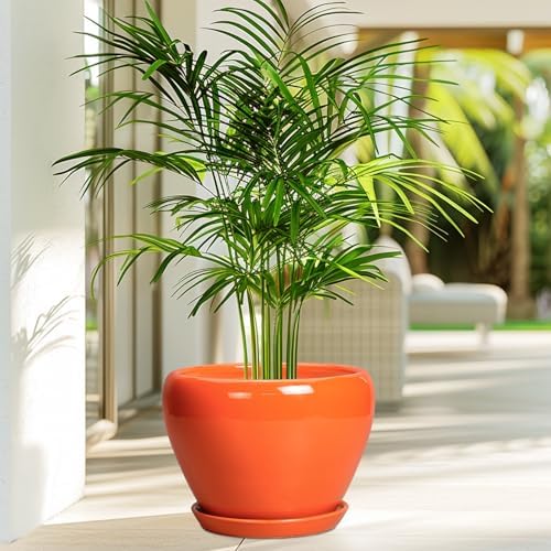 Ceramicfor Indoor Plant Pot, 8 Inch Ceramic Plant Pot, Orange - Image 4