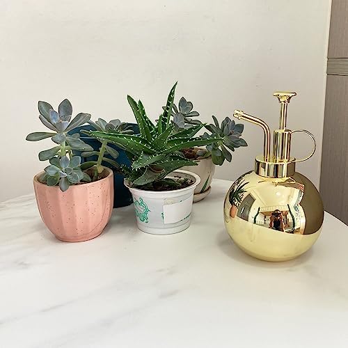 Stainless Steel Plant Sprayer, Small Watering Can, Modern Gardening Tool for Indoor Potted Plants, Gold Color - Image 4