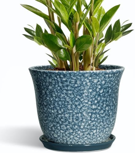 10 Inch Plant Pot - Ceramic Planter for Indoor Outdoor, Round Flower Pots with Drainage Hole and Saucer, Modern Decorative Planter for Plants, Home Office Decor, Plant Lover Gifts, Blue by SUNPOTFOR