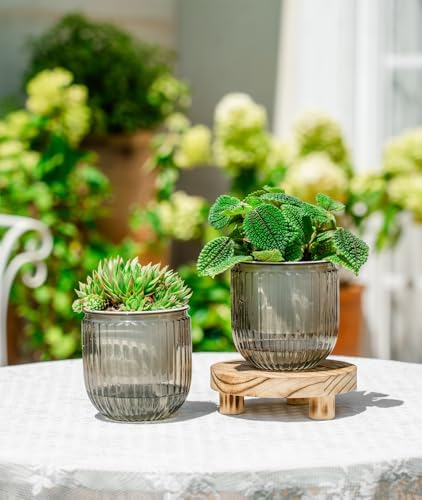 Melphoe Self Watering Pots for Indoor Plants Planter, 4.3 Inch 2 Pack Planters Self Watering Plant Pots for Flower, Houseplants, Succulent, African Violets and Cactus with Drainage - Image 2