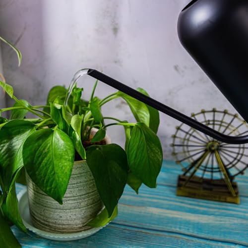 Watering Can Indoor Outdoor Plants, 50oz/1500ml Garden Long Spout Watering Cans, Stainless Steel Plants Watering Can Pot for Indoor House Plants Bonsai Flower Decorative - Image 6
