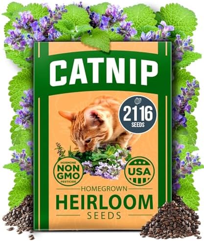HOME GROWN Catnip Seeds, 2,116 Seeds, Nepeta cataria by HOMEGROWN