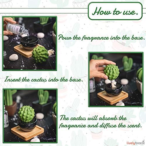 Frank Cactus, Non-Electric Ceramic Diffusers for Essential Oils and Aromatherapy Fragrance, White Ceramic Diffusers in Car or Desk Office Decor and Small Bathroom at Home, Black vase - Image 2