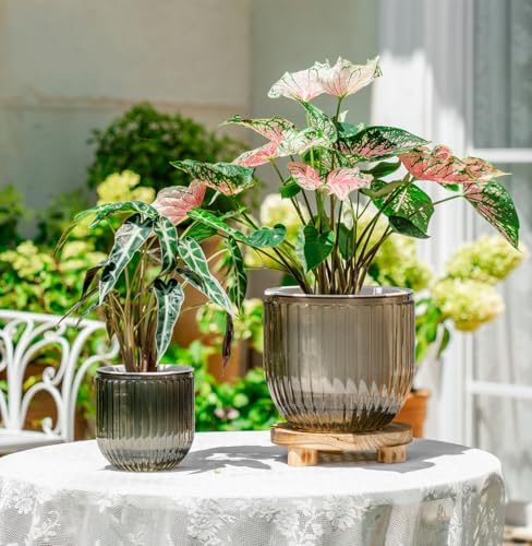 Melphoe Self Watering Pots for Indoor Plants Planter, 8.3/5.3 Inch 2 Pack Planters Self Watering Plant Pots for Flower, Houseplants, Succulent, African Violets and Cactus with Drainage - Image 2