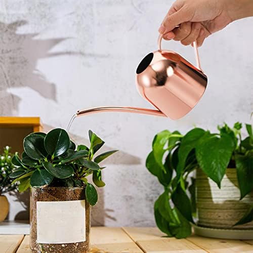 Fasmov Stainless Steel Watering Can, Small Modern Style Watering Pot, 15oz/450ml Plant Watering Can with Long Spout to Prevent Spillage, Perfect for Outdoor and Indoor Plants (Copper) - Image 5