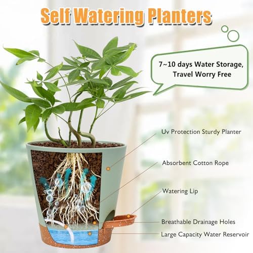 Vanslogreen Planters for Indoor Plants 7/6.5/6/5.5/5 Inch, Self Watering Planters with Drainage Holes and Saucers 5 Pack Plastic Pots for Plants, Succulents, Herbs, Cactus, Flower Pots, Green - Image 2