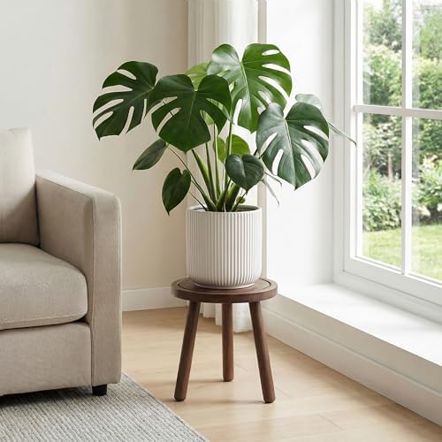 Wood Plant Stands Indoor, Updated Single Plant Stand Modern Plant Table for Large Plants, Wooden Plant Stool, Tall Plant Holder Small Round Side for Living Room, Balcony, Office (Dark Brown) - Image 2