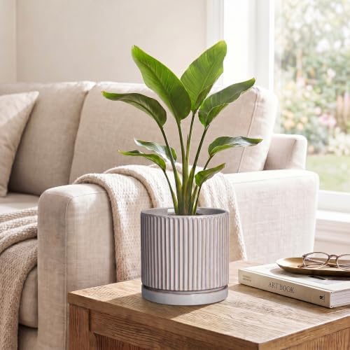 Ceramic Pots for Plants, 6 Inch Plant Pots with Saucer, Grey - Image 5