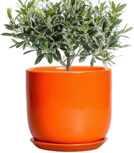 Ceramic Pot for Plants - 8 Inch Plant Pot with Drainage Hole and Saucer, Cylinder Modern Round Planter for Indoor Outdoor Plants, Housewarming Gifts, Office Home Garden Decor, Orange by SUNPOTFOR