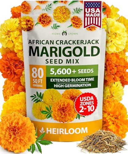 HOME GROWN Crackerjack African Marigold Seeds, 5,600+ Seeds, Tagetes erecta by HOMEGROWN