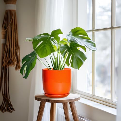 7 Inch Plant Pot - Ceramic Planter with Drainage Hole and Saucer, Modern Round Ceramic Flower Pot for Indoor Outdoor Plants, Plant Lover Gifts, Home Garden Office Decor, Orange - Image 6