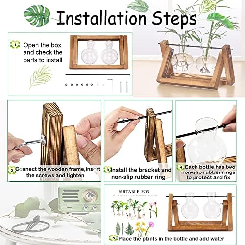 Kingbuy Glass Desktop Planter with Retro Wooden Stand, 2 Bulbs - Image 5