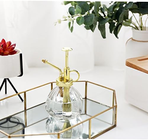Glass Plant Mister Spray Bottle, Fine Mist for Indoor Plants 6.7oz Gold - Image 5