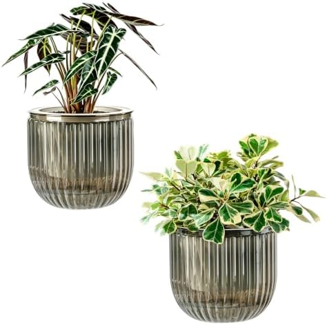 Melphoe Self Watering Pots for Indoor Plants Planter, 8.3 Inch 2 Pack Planters Self Watering Plant Pots for Flower, Houseplants, Succulent, African Violets and Cactus with Drainage by Melphoe