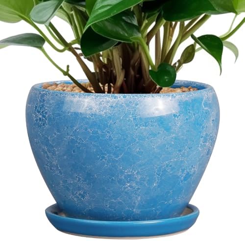 Ceramicfor 6 Inch Plant Pot - Ceramic Planter Pot with Drainage Hole and Saucer, Glaze Succulent Pot Modern Round Flower Pot for Indoor Plants, Blue by Ceramicfor