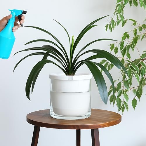 D'vine Dev Self-Watering White Terracotta Planter Pot, 10 in, 37-X-D-2 - Image 5