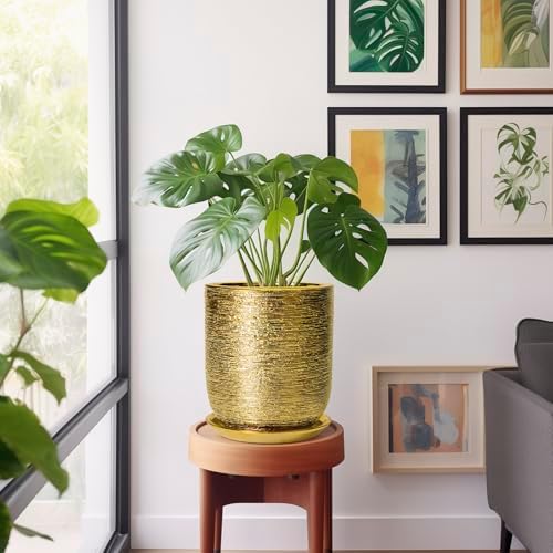 Ceramic Flower Pot for Indoor Plants - 10 Inch Plant Pot with Drainage Hole and Saucer, Decorative Round Outdoor Indoor Planter, Housewarming Gifts, Home Garden Decor, Gold - Image 6