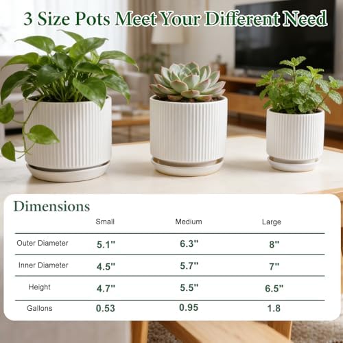 Ceramic-Flower-Pots-Sets-with-Saucer, 5/6/8 inch Small Planters for Indoor Plants with Drainage Hole, White Vertical Stripe Plant Pots for Home Decor, Outdoor Garden Pot For Succulent Cactus Herb - Image 3