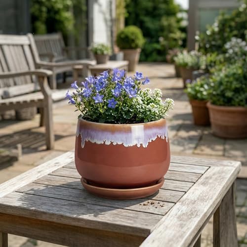 Ceramic Pots for Plants 7 Inch - Ceramic Planters for Indoor Plants, Indoor Plant Pots with Drainage and Saucer, Decorative Round Flower Pot, Garden House Room Decor, Plant Gifts, Red-Purple - Image 4