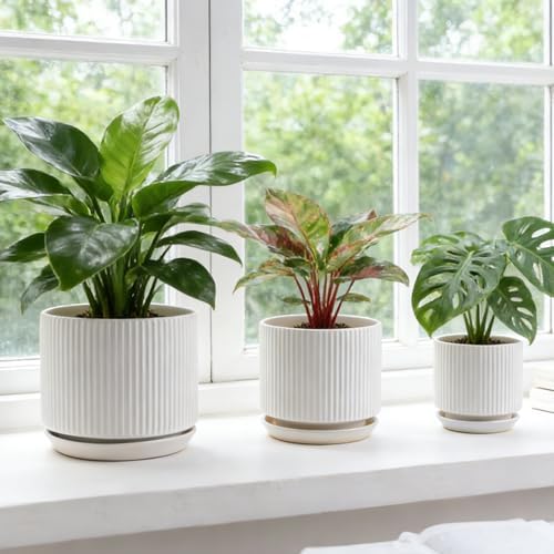 Ceramic-Flower-Pots-Sets-with-Saucer, 5/6/8 inch Small Planters for Indoor Plants with Drainage Hole, White Vertical Stripe Plant Pots for Home Decor, Outdoor Garden Pot For Succulent Cactus Herb - Image 5