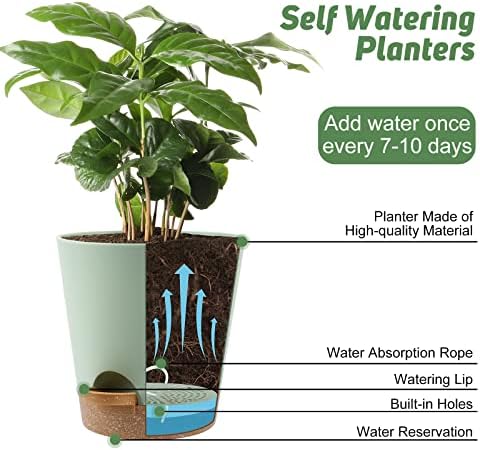 YNNICO Indoor Self Watering Planters with Drainage Holes and Saucers, 8, 7, 6.5, 6, 5.5, 5 Inches, Green, 6 Pots. - Image 5