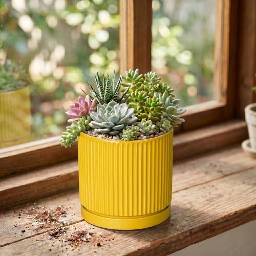 Ceramic Pots for Plants, 4 Inch Plant Pots with Saucer, Yellow - Image 3