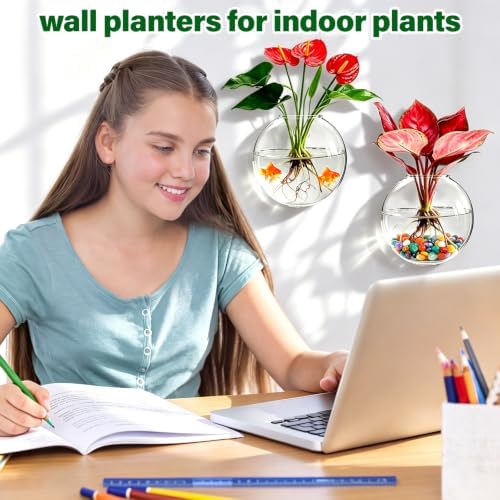 Window Propagation Stations, Oblate Glass Terrariums Planter - Image 3