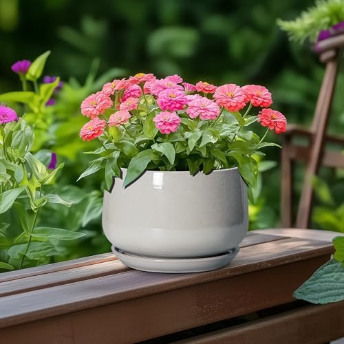 G EPGardening Ceramic Pots for Plants - 6 Inch Plant Pot with Drainage and Ceramic Tray, Modern Succulent Pots, Round Planters for Indoor Plants, Living Room Decor, Gifts for Plant Lovers, Light Grey - Image 4