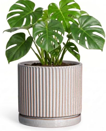 8 Inch Plant Pots, Ceramic Flower Pot, Round Planter with Tray, Grey by Unknown