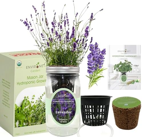 Hydroponic Herb Growing Kit, Self-Watering Mason Jar Herb Garden Starter Kit Indoor, Windowsill Herbs Garden, Grow Your Own Herbs from Organic Seeds (Lavender) - Image 2