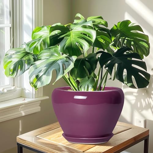 Ceramicfor 10 Inch Plant Pot - Ceramic Planter with Drainage Hole and Saucer, Round Modern Flower Pot for Indoor Outdoor Plants, Housewarming Gift, Home Garden Decor, Purple - Image 6