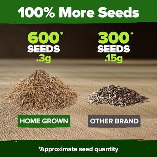 HOME GROWN Dandelion Seeds, 600 Seeds, 0.3 g, Taraxacum officinale - Image 3