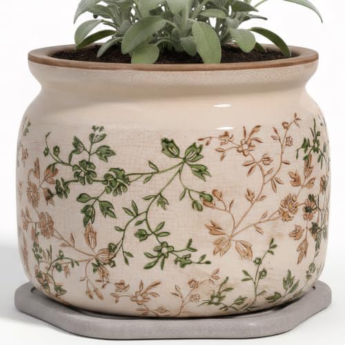 Country Cottage Ceramic Plant Pots with Decorative Tray, Plant Lover Gifts by XiaanJiaju