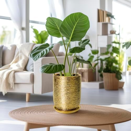 Indoor Plant Pot 8 Inch - Ceramic Planter for Indoor Outdoor Flowers, Round Modern Flower Pot with Drainage Hole and Saucer, Gifts for Plants Lovers, Garden Room Decor, Gold - Image 4