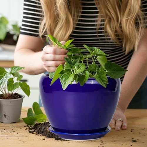 Ceramicfor Ceramic Plant Pot 8 Inch, Planter for Indoor Plants, Royal Blue - Image 7